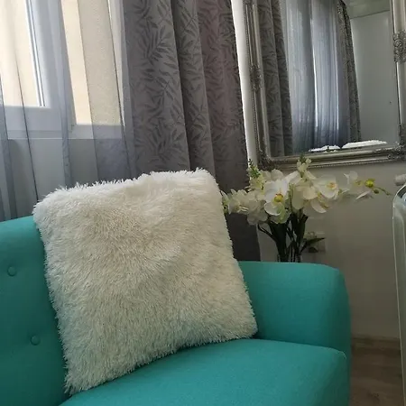 Angel Stan Na Dan Novi Sad