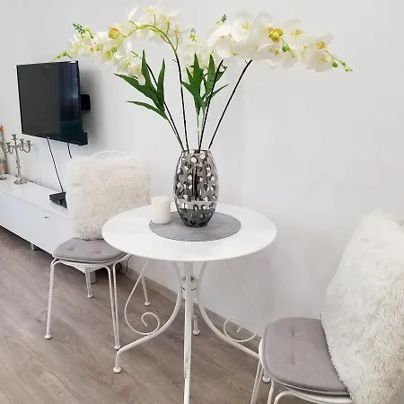 Angel Stan Na Dan * Novi Sad