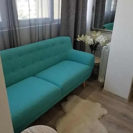 Angel Stan Na Dan * Novi Sad