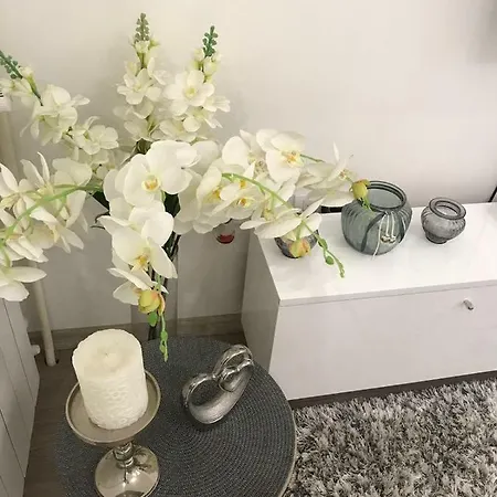 Angel Stan Na Dan Lägenhet