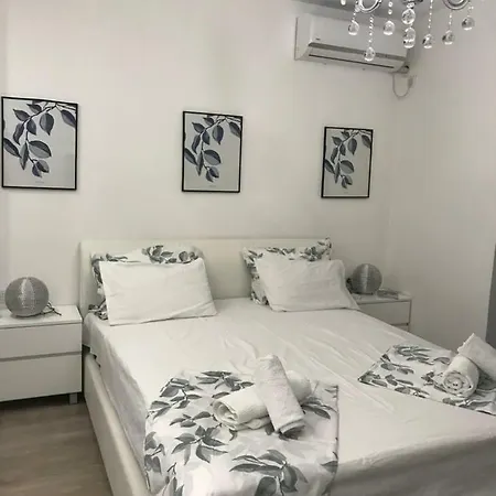 Angel Stan Na Dan Novi Sad