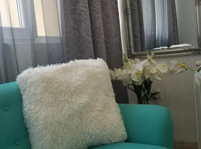 Angel Stan Na Dan Novi Sad