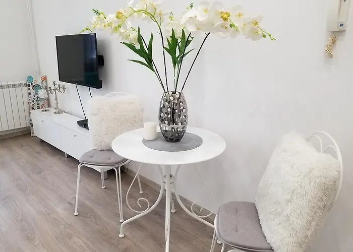 Angel Stan Na Dan * Novi Sad