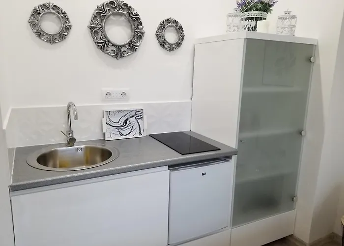 Angel Stan Na Dan * Novi Sad