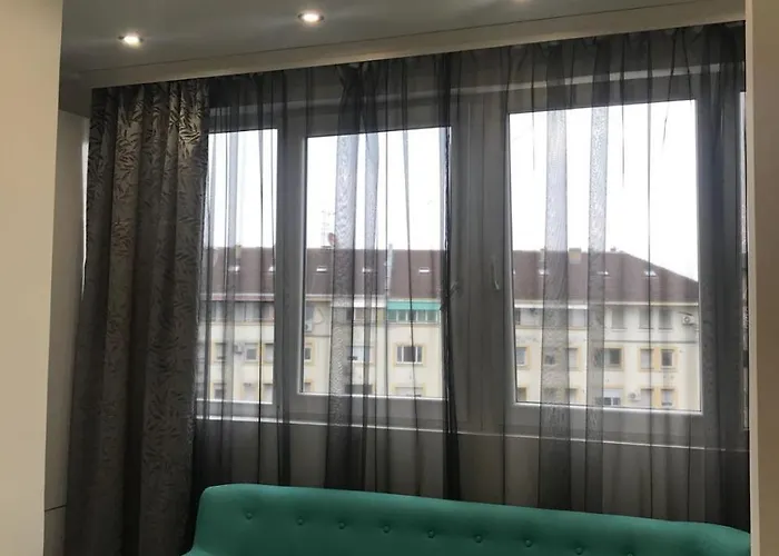 Angel Stan Na Dan Novi Sad