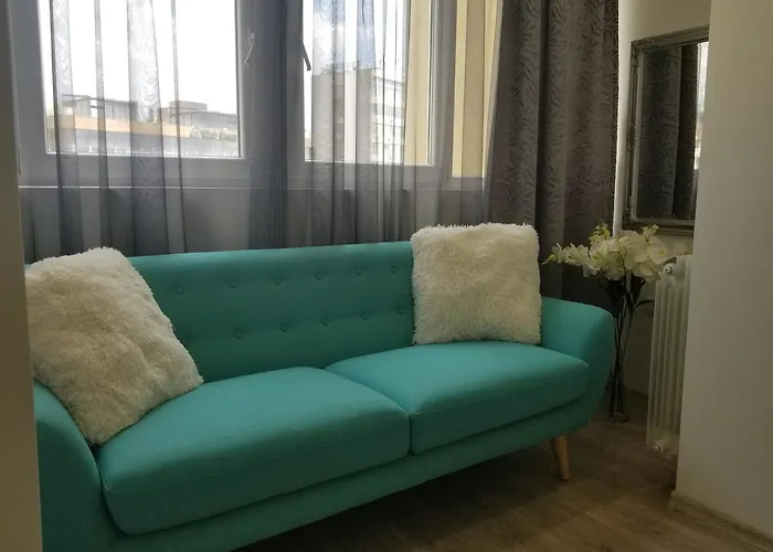 Angel Stan Na Dan Novi Sad