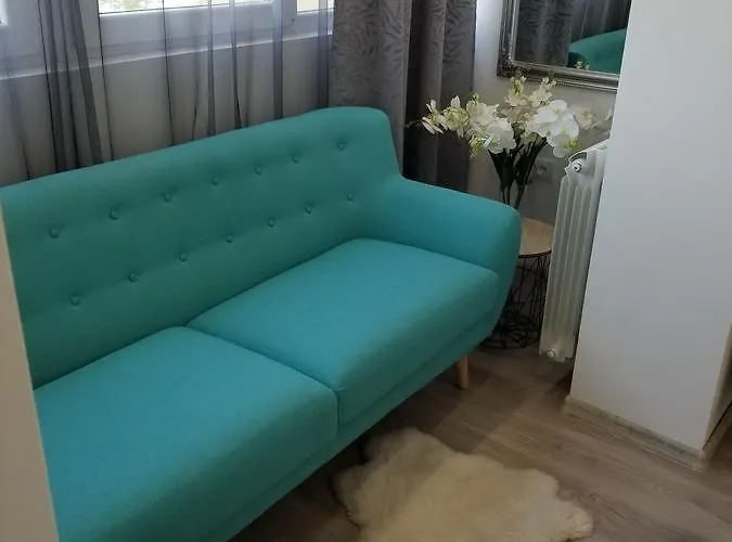 Angel Stan Na Dan * Novi Sad