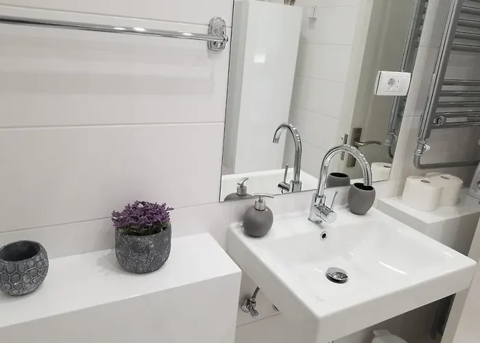 Angel Stan Na Dan * Novi Sad