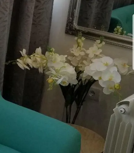 Apartamento Angel Stan Na Dan Novi Sad